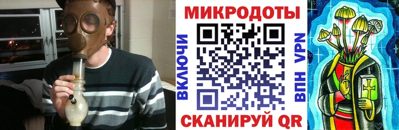 Псилоцибиновые грибы Psilocybe  Гатчина 