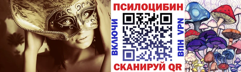 Галлюциногенные грибы GOLDEN TEACHER Гатчина